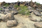 photo thumbnail #11