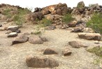 photo thumbnail #15