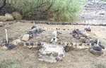 photo thumbnail #6