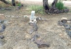 photo thumbnail #7