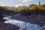 photo thumbnail #2