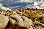 photo thumbnail #1