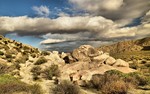 photo thumbnail #7