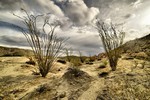 photo thumbnail #9
