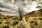 photo thumbnail #10