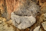 photo thumbnail #14