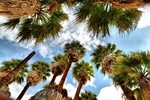 photo thumbnail #15