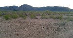 photo thumbnail #2