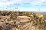 photo thumbnail #7