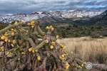 photo thumbnail #5
