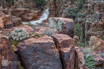 photo thumbnail #6