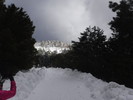 photo thumbnail #2