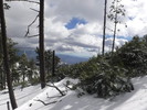 photo thumbnail #7