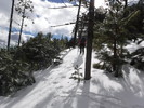 photo thumbnail #8