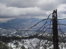 photo thumbnail #15