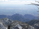2017-01-25 :3: Whitetail CG Catalinas :: Pivo