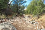 photo thumbnail #13