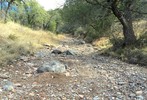 photo thumbnail #14