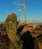 photo thumbnail #4