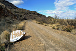photo thumbnail #3
