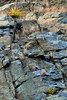 photo thumbnail #10