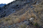 photo thumbnail #11