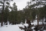 photo thumbnail #4