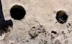 photo thumbnail #6