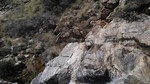 photo thumbnail #1