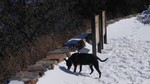 photo thumbnail #5