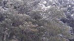 photo thumbnail #10