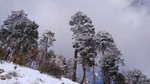 photo thumbnail #11