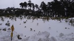 photo thumbnail #14