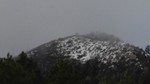 photo thumbnail #15