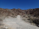 photo thumbnail #3