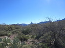 photo thumbnail #1