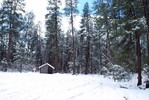 photo thumbnail #4