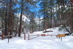 photo thumbnail #11