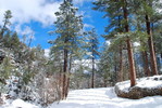 photo thumbnail #13