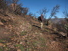 photo thumbnail #6