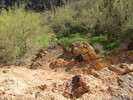 photo thumbnail #4