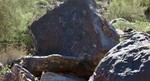 photo thumbnail #5