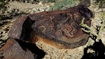 photo thumbnail #6