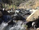 photo thumbnail #14