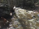 photo thumbnail #8