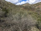 photo thumbnail #9