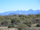 photo thumbnail #1