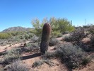 photo thumbnail #4