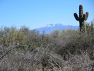 photo thumbnail #7