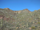 photo thumbnail #1